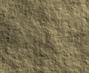 GEO.Others.arenaria 3
